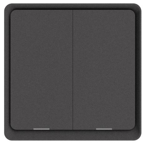 DIO-2G-SW-BEE-N   Dion 2 Gang Gray switch with two relay with N neutral connection) Act as Repeater  Gray