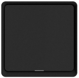 DIO-1G-SW-BEE-N Dion 1 Gang switch with one relay (with N neutral)  Black