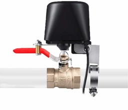Wired Gas Valve